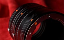 Macro photograph